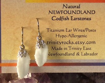 Memories of Newfoundland Codfish Ears Dangle Earrings Titanium Ear Wires Hypo Allergenic Natural Unique