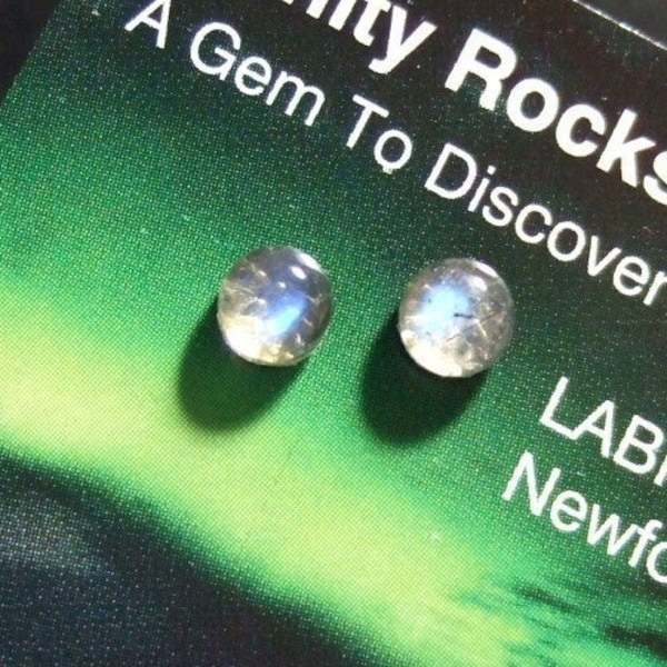 Labradorescence Exists Round 5mm Labradorite Stud Earrings Earings Titanium Post and Clutch Flash Hypo Allergenic