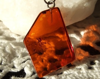Baltic Amber Pendant Sterling Silver Necklace Made in Newfoundland Energy No Bugs