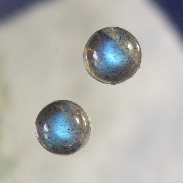 Labradorescence Exists 6mm Round Cabochon Labradorite Stud Earrings Earings Titanium Post and Clutch Flash Sparkly Magic Hypo Allergenic