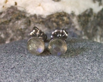 Labradorescence Exists Rose Cuts 6mm Faceted Labradorite Stud Earrings Earings Titanium Post and Clutch Flash Hypo Allergenic