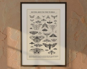 BLACK & WHITE Moth Poster — Printable Wall Art (Digital Download)