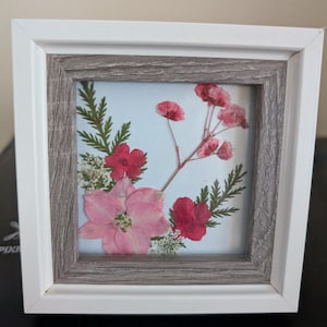 Mini Pressed Flowers Art Frame/Dried Flower Art