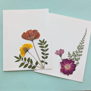 Jeu de cartes botaniques de vraies fleurs pressées