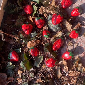 May include: Hand-painted red strawberry-shaped stones with green and brown accents. The stones are scattered among green and brown leaves, creating a natural, decorative display. Each stone features small, painted yellow seeds.