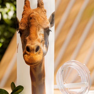 Skinny Tumbler, Giraffe Neck Animal Lover Gift with Straw, 20oz, Hey Giraffe Face Zoo Fun Cup, Giraffe Lovers Gifts, Zoo Lovers Tumbler