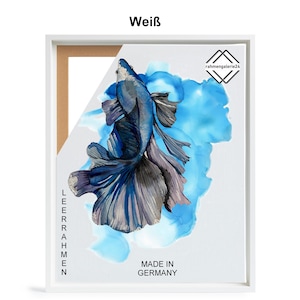 May include: A white canvas with a blue and grey watercolor painting of a betta fish. The canvas is in a white frame with the text "LEERAHMEN" on the left side and "MADE IN GERMANY" on the bottom. The text "rahmengalerie24" is in the top right corner.