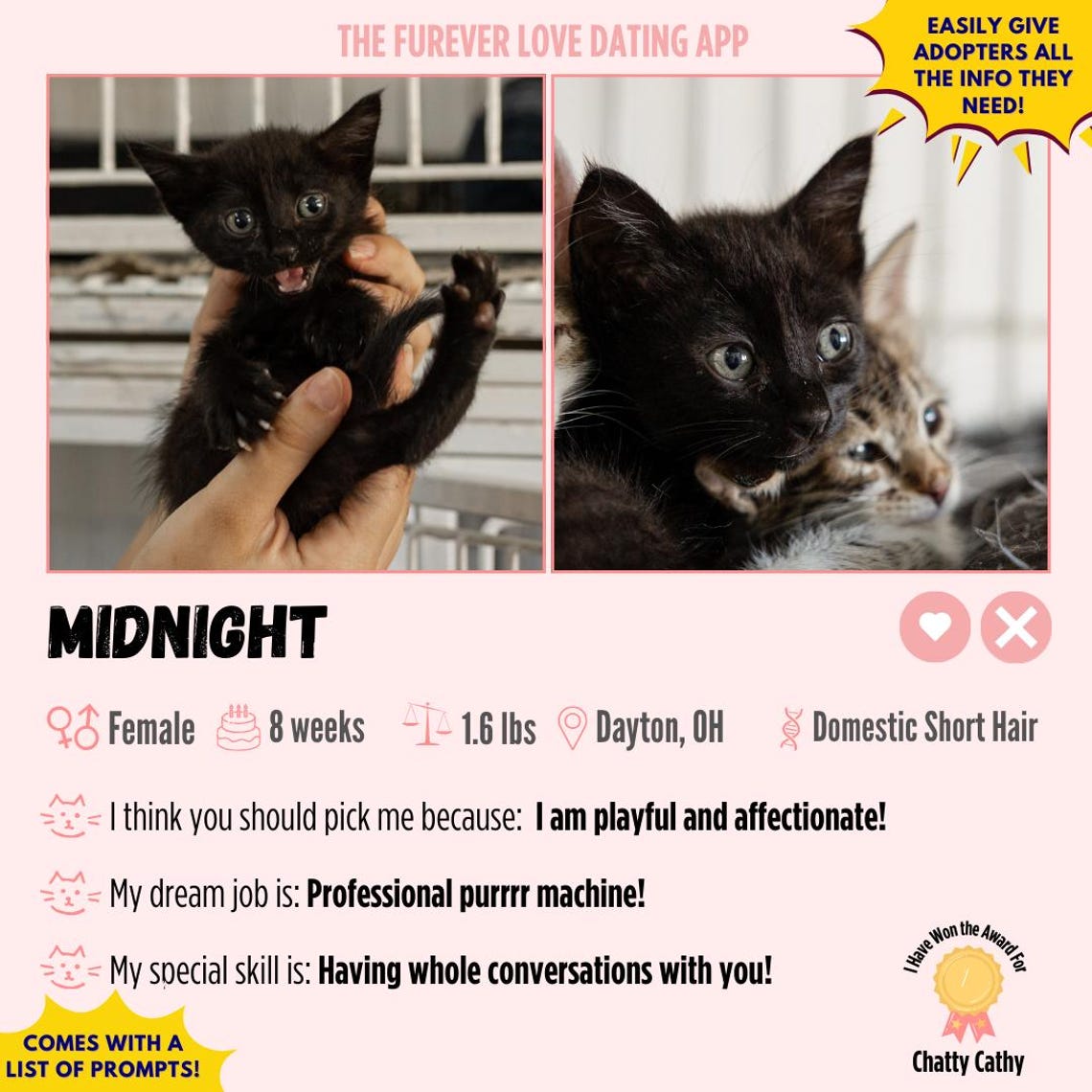 Dating Appstyle Pet Adoption Template Editable Canva Profile for
