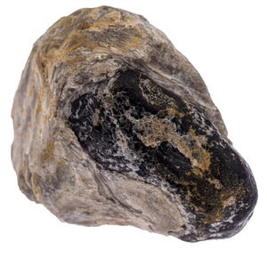Apache Tear Obsidian 1 Knollen auf Perlit - Arizona