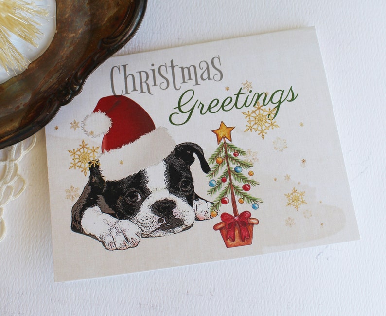 Boston Terrier Christmas Cards 