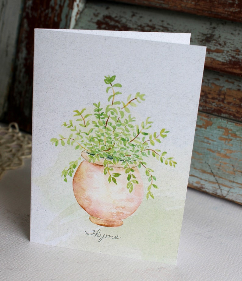 Note Cards Potted Herbs Note Cards Set of Six Boxed Note Cards Herb Greeting Cards Note Cards with Herbs Herb Stationery