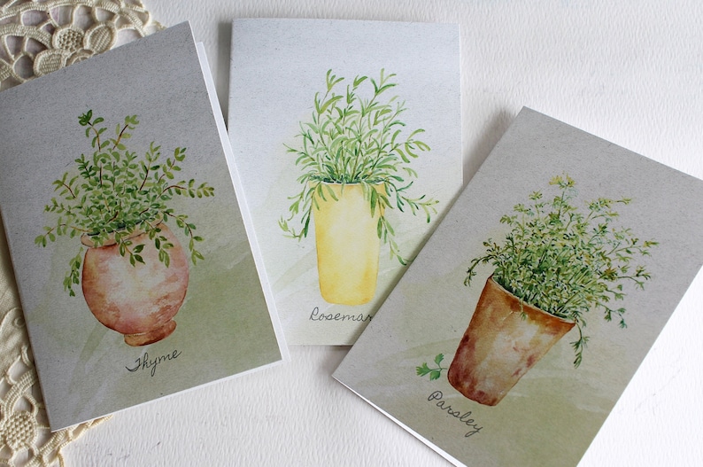 Note Cards Potted Herbs Note Cards Set of Six Boxed Note Cards Herb Greeting Cards Note Cards with Herbs Herb Stationery