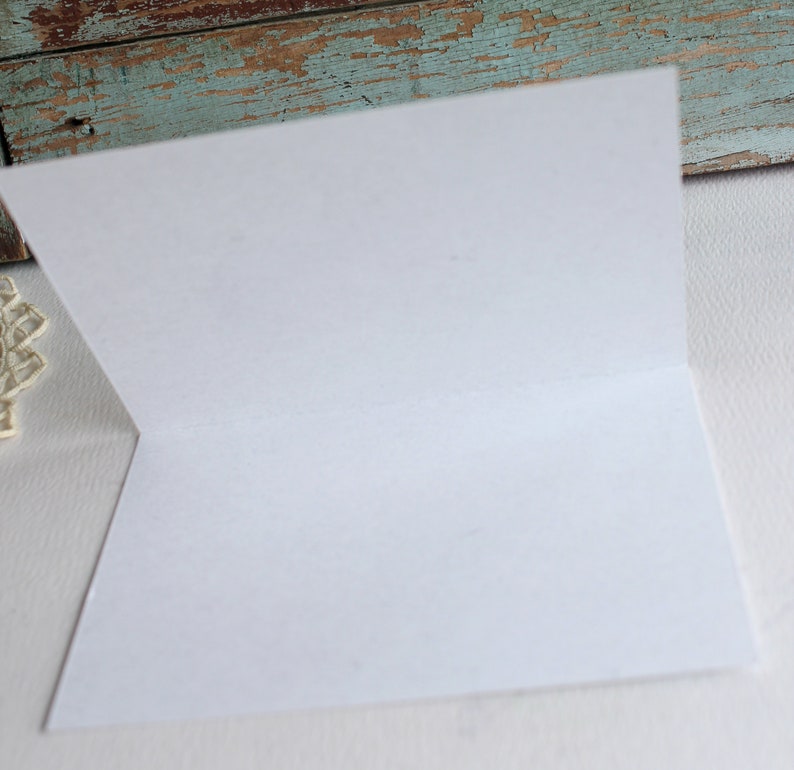 Note Cards Potted Herbs Note Cards Set of Six Boxed Note Cards Herb Greeting Cards Note Cards with Herbs Herb Stationery