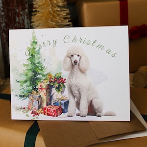 Poodle Christmas Card Set, White Poodle Christmas Cards, Poodle Christmas Stationery, White Poodle Holiday Greeting Cards