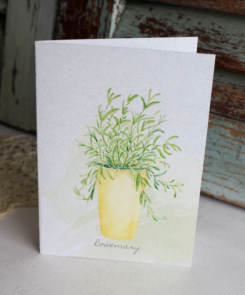 Note Cards Potted Herbs Note Cards Set of Six Boxed Note Cards Herb Greeting Cards Note Cards with Herbs Herb Stationery