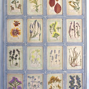 Arte con fiori pressati, arte con fiori secchi, erbario rustico, erbe aromatiche con fiori pressati, arte murale vintage, decorazioni botaniche, opere d'arte con fiori secchi