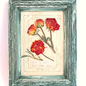 Regalo commemorativo per un cane, regalo per inaugurazione della casa, regalo di fiori per sé stessi, regalo per la madrina, regalo per la perdita di un bambino, regalo per un nuovo insegnante, regalo per la moglie per il 40° anniversario della figlia.