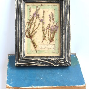 May include: A rectangular picture frame with a distressed black and white wood grain finish containing pressed purple heather flowers on a beige background with handwritten cursive text and the printed label Echium. It rests on a blue book.