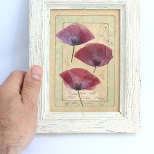 Cuadro Flores Secas Amapolas, Herbario Enmarcado, Decoración Vintage Para El Hogar, Marco Madera Blanco, Arte Botánico Hecho A Mano
