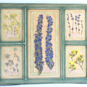 Cornice per cucina con fiori grandi: erbe essiccate pressate, decorazioni da parete in stile fattoria, paesaggio vintage per soggiorno, quadri secchi in stile cottage.