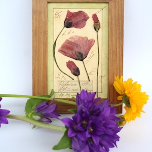 Decorazione murale con papaveri pressati, decorazioni rustiche francesi con papaveri, piante con cornice originale per camera da letto, erbario di erbe selvatiche in legno come regalo.