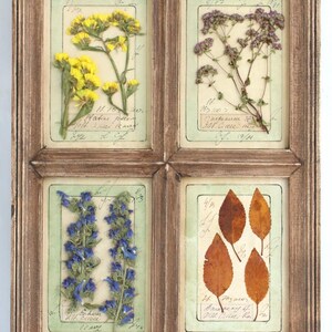 Fiori secchi incorniciati, fiori pressati artistici, erbario alto da fattoria, quadri di cottage con foglie di erbe aromatiche vintage, cornice marrone floreale retrò da appendere a secco