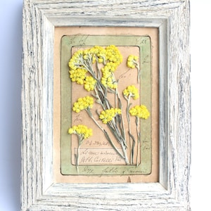 Fiori pressati incorniciati, piante selvatiche, erbe essiccate, decorazioni floreali da parete, decorazioni per la cucina francese, piccola cornice, fiori selvatici secchi da regalare