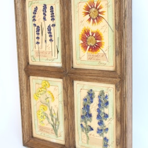 Decorazione da parete con fiori secchi, arte con fiori pressati, erbario, galleria di erbe vintage, cornice in stile francese, cornice per quadri in legno, vera opera d'arte