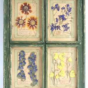 Erbario artistico con fiori secchi, decorazioni murali vintage con erbe pressate, cornice floreale secca, camera da letto in stile fattoria botanica, cucina in stile francese.
