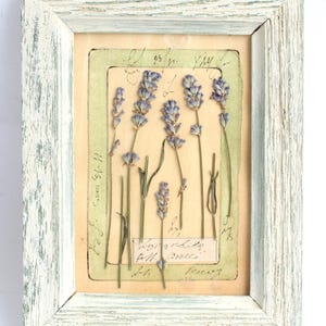 Cornice di lavanda secca, fiori pressati, piccola cornice in legno vintage, erbario rustico, regalo secco da appendere, piante conservate per cottage