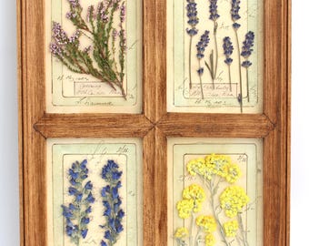 Framed Pressed Herbs Country Flower Art, Vintage Botanical Herbarium Glass Frame, Farmhouse Wildflower Lavender Wall Hanging Decor Set