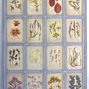 Arte murale con fiori pressati fatti a mano, set di fiori secchi incorniciati, decorazioni verdi in stile fattoria, cornice floreale appesa, erbario francese