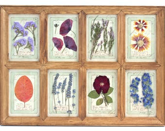 Pressed Flower Wall French Dried Flowers, Botanical Herbarium Large Decor Kitchen, Country Hanging Art Cottage Wildflower Artwork Set