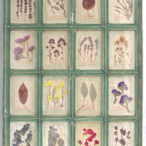 Decorazione murale con fiori pressati, regalo fai da te, decorazione rustica per la casa in stile francese, fiori secchi incorniciati, erbario botanico, fiori vintage da appendere, cornice verde