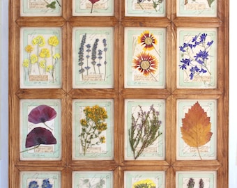 Large Herbarium Pressed Flowers Framed Art, Vintage Botanical Wall Hanging, Cottagecore Dried Flower Art, Country Farmhouse Grid Picture