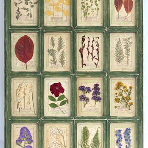 Pressed framed botanical, large country wall decor herbarium, dried flower art herb plants farmhouse frame french wildflower floral kitchen