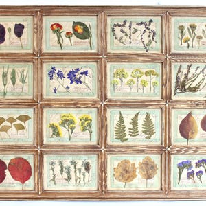 Cornice artistica con fiori pressati, decorazione floreale da parete, erbe aromatiche essiccate per la casa, decorazione vintage con piante secche, grande cornice orizzontale in stile francese anticato