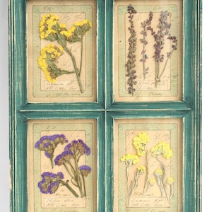 Großer Rahmen für gepresste Blumen, schmale Kunst, grünes Herbarium Botanische Anzeige, großes französisches Landwanddekor, hölzernes Kräuterhängen