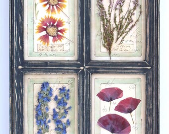 Tall Wall Art Floral Pressed Botanicals, Vertical Farmhouse Framed Specimen, Dried Wild Flowers Hanging Decor, Rustic Window Herbarium