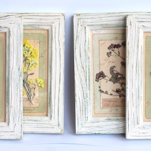 Arte floreale con piante pressate, decorazione murale con erbe essiccate, set di 4 cornici vintage con esemplari per la casa, erbario fatto a mano in stile fattoria francese.