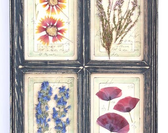 Pressed Flower Art, Tall Narrow Framed Preserved Set Plants, Herb Leaves Artisan, Large French Country Floral, Wooden Botanical Herbarium