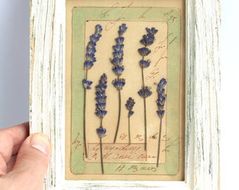 Dried Lavender Frame Pressed Flower Decor, Vintage Small Wooden, Country Framed White, Farmhouse Herbarium, Specimen Greenery Leaf Hanging