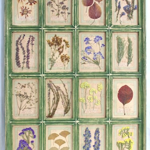 Fiori pressati, arte originale, cornice di fiori secchi, decorazione da parete per fattoria, quadri botanici incorniciati, decorazioni floreali per la casa, erbe erbarie secche
