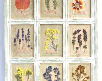 Composizione floreale con fiori pressati: grande cornice orizzontale bianca per erbario, stile country vintage francese, con veri fiori selvatici.