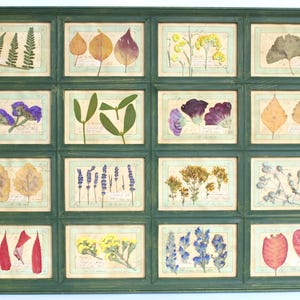 Grande quadro con cornice in legno con fiori di campo essiccati e pressati, decorazione da parete botanica, quadro floreale vintage, erbario di campagna francese