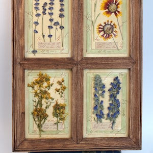 Decorazione da parete con fiori secchi pressati, erbario botanico vintage da fattoria incorniciato, cornice artistica con fiori da cucina e camera da letto, cornice floreale rustica da appendere