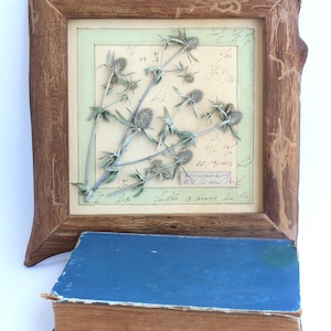 Decorazione da parete in stile fattoria, fiori pressati incorniciati di eryngium essiccato, decorazione da parete floreale, opera d'arte di erbario vintage con cornice originale, piante medicinali