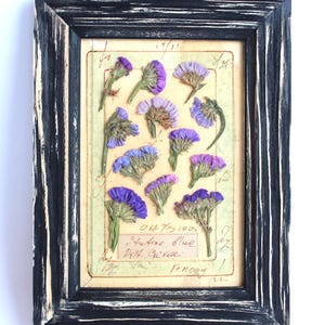 Fiori secchi vintage pressati, decorazioni da parete con motivi botanici, decorazioni da parete in stile fattoria, decorazioni rustiche per la casa, fiori secchi da appendere in stile francese, fiori secchi incorniciati
