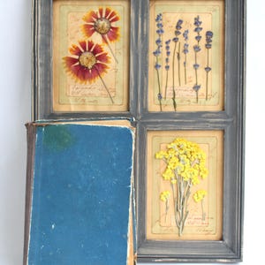 Cornici con fiori secchi, arte botanica incorniciata, erbe da cucina, quadri pressati, cottage, decorazioni murali con fiori secchi, piante floreali pressate, fattoria