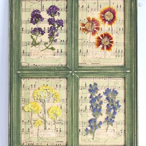 Arte botanica da parete con cornice, decorazione con fiori pressati, fiori secchi veri appesi, cornice in difficoltà per cucina, stile rustico francese, erbe selvatiche